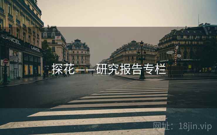 探花——研究报告专栏