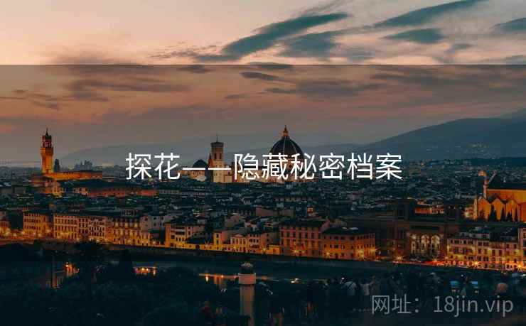 探花——隐藏秘密档案