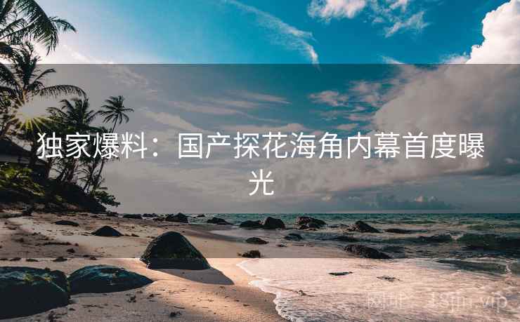 独家爆料：国产探花海角内幕首度曝光