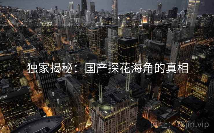 独家揭秘：国产探花海角的真相