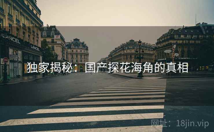 独家揭秘：国产探花海角的真相