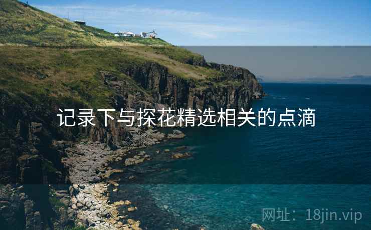 记录下与探花精选相关的点滴