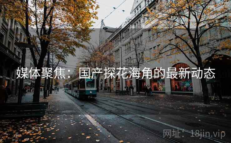 媒体聚焦：国产探花海角的最新动态