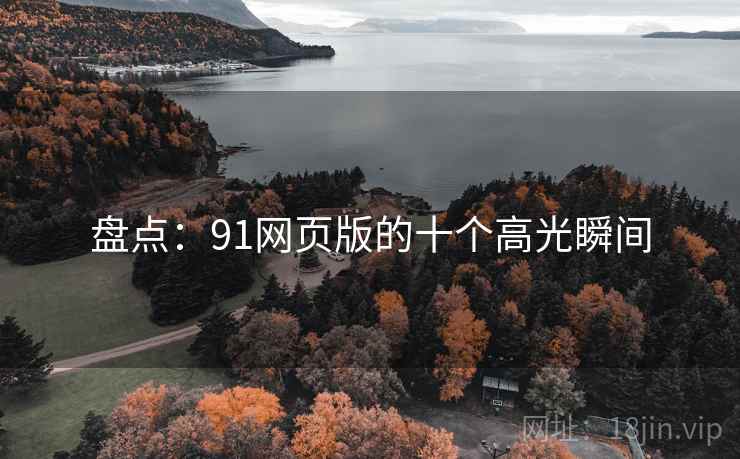 盘点：91网页版的十个高光瞬间
